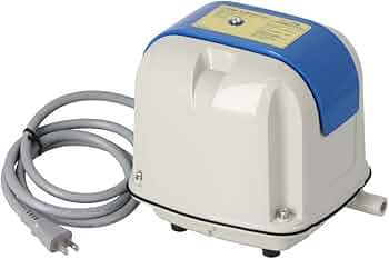 51WZMAhgD0L._AC_UF350,