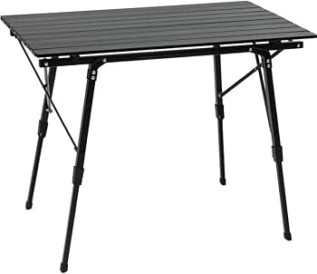 51WmeR3lusL._AC_UF350,