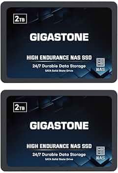 Amazon.in: Buy Gigastone Enterprise 2TB NAS SSD (2-Pack) 24/7 High