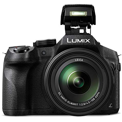 Amazon.com : Panasonic Lumix FZ300 Long Zoom Digital Camera