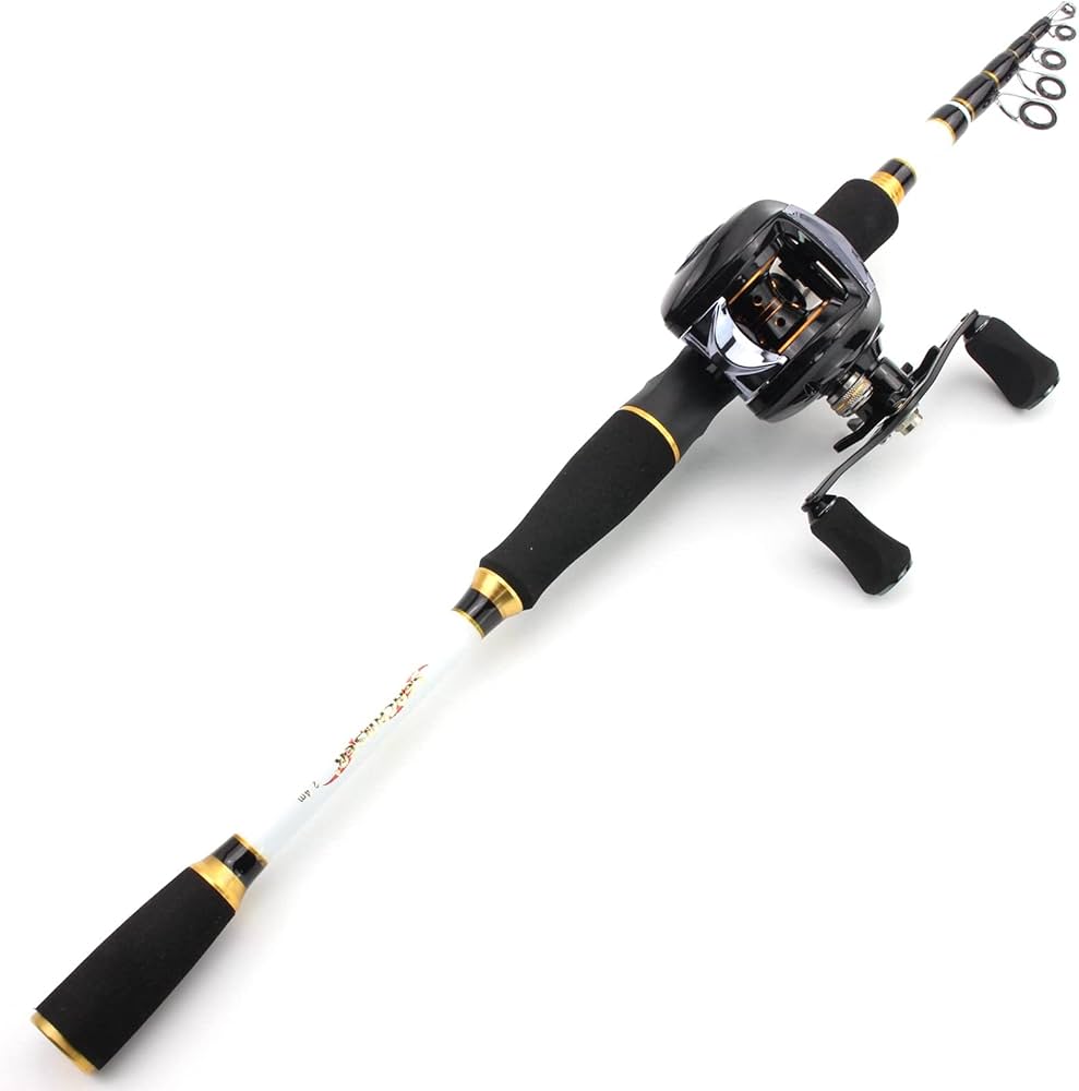 Amazon | 釣り竿リールセット、伸縮式釣り竿とキャスティングリール