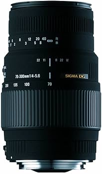 Amazon.com : Sigma 70-300mm f/4-5.6 DG APO Macro Motorized