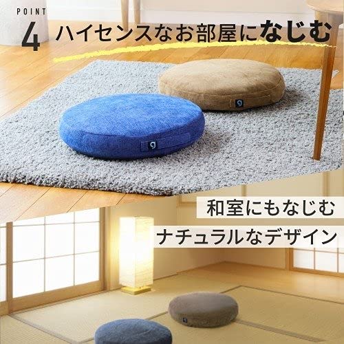 Amazon.co.jp: シェイプディスク gymterior (ジムテリア) 【公式