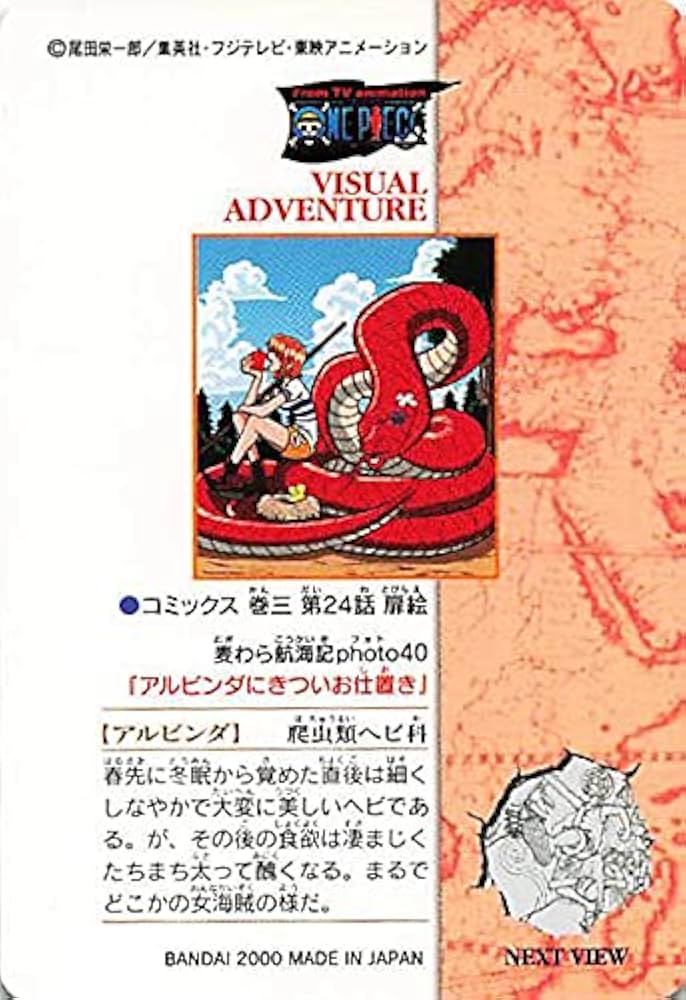 Amazon.co.jp: ワンピース ビジュアルアドベンチャー 麦わら航海記