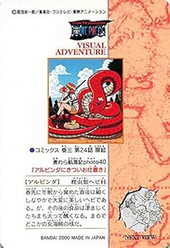 Amazon.co.jp: ワンピース ビジュアルアドベンチャー 麦わら航海記