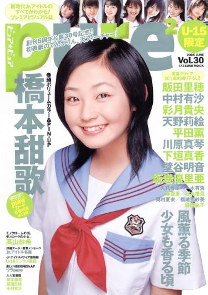 Amazon.co.jp: ピュア☆ピュア Vol.30 タツミムック : Japanese Books