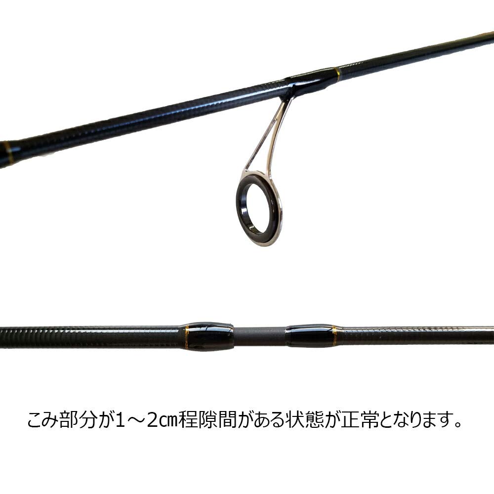 Amazon | グローリーフィッシュ(Glory Fish) ソルトシステムアジング