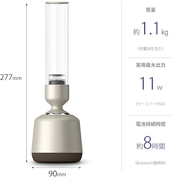 51ZK80AlDjL._AC_UF350,