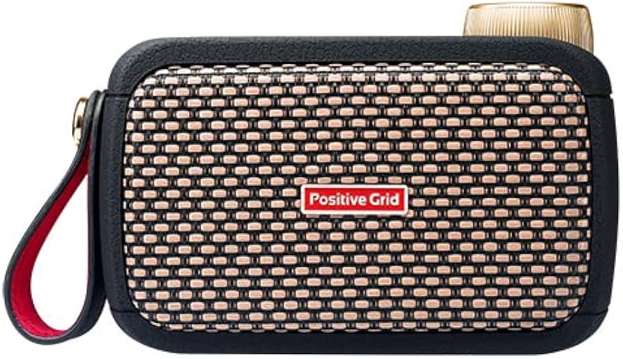 Amazon | 【VGP 2025 受賞】 Positive Grid Spark GO ギターアンプ