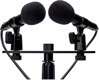 Amazon.com: Zoom ZPC-1 Matched Pencil Condenser Microphones for