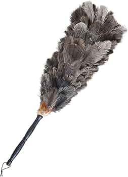 51a-6O-8dSL._AC_UF350,