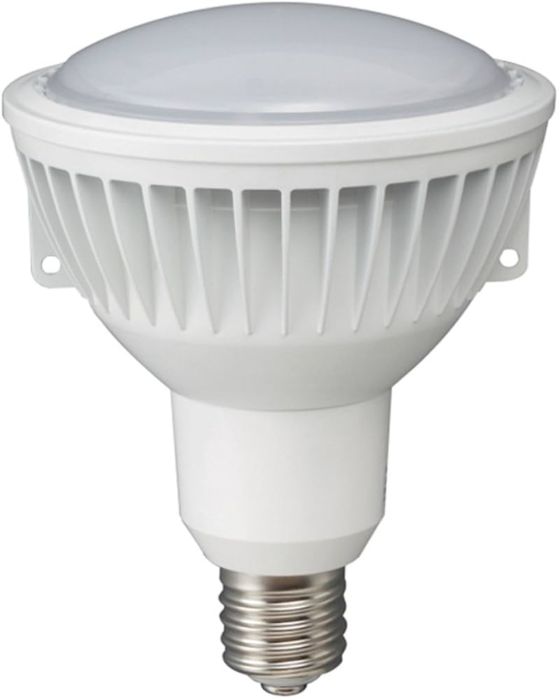 Amazon | ハタヤ(HATAYA) 42W LED球(RXL型作業灯用) LED-42WW | 作業灯