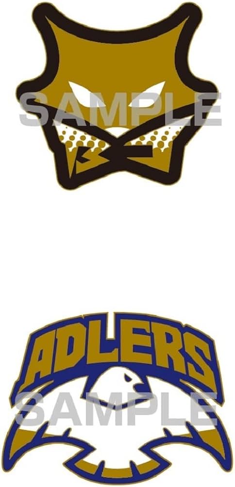 Amazon.com: ハイキュー!! 10thクロニクル グッズ付き同梱版 (愛蔵版