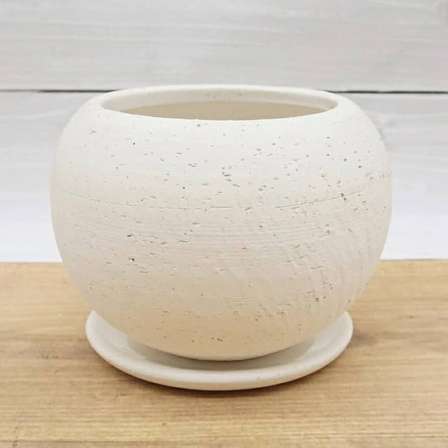 Amazon.co.jp: 植木鉢 おしゃれ 陶器鉢 エッジボールS (2色) 胴部最大