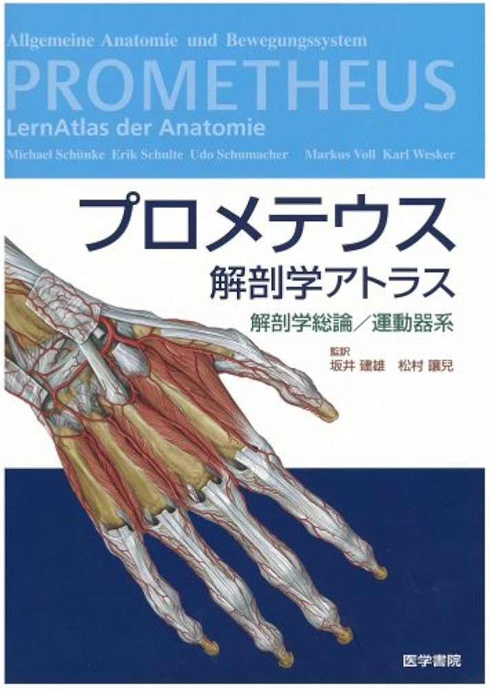 Amazon.co.jp: プロメテウス解剖学アトラス解剖学総論・運動器系