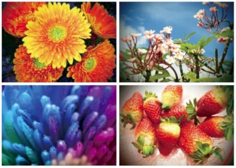 ニナデジ | 蜷川実花, MATOI PUBLISHING |本 | 通販 | Amazon