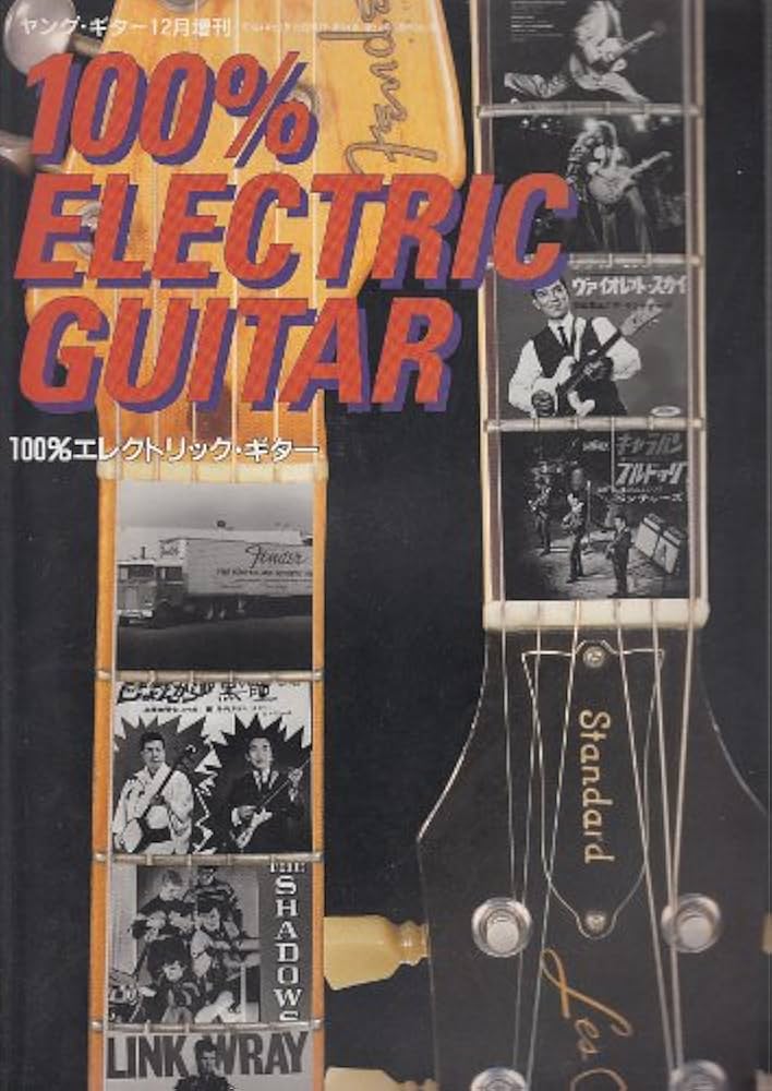 ヤング・ギター12月増刊 100% Electric Guitar (エレクトリック
