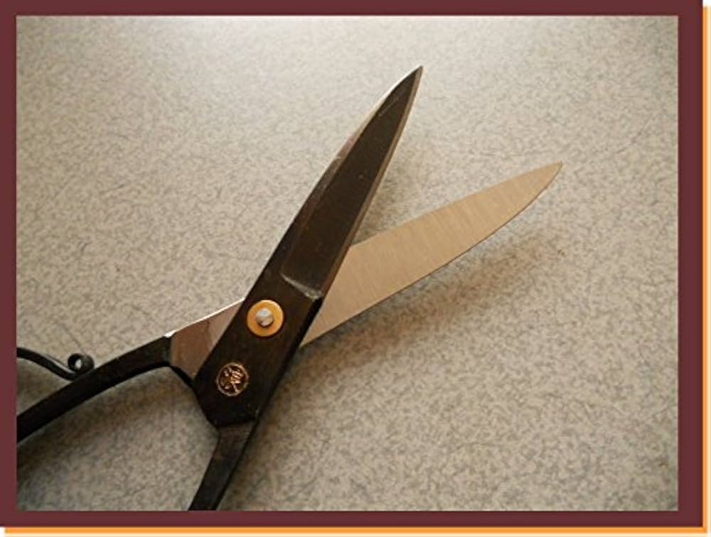 Amazon | 種子島本種 池浪刃物製作l所 種子鋏（たねばさみ）黒仕上げ 6