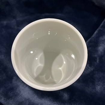 51aoiRXmqoL._AC_UF350,