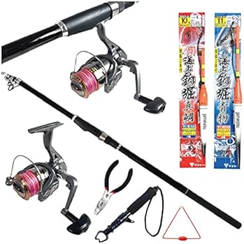 Amazon | つり具TEN 海上釣り堀入門 完全セット PEライン付（竿 リール