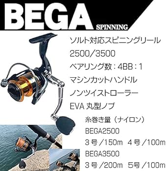 Amazon | つり具TEN サーフ ライトショアジギング 釣りセット PE1号