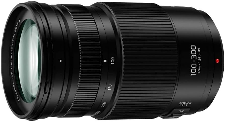 Amazon.com : PANASONIC LUMIX G II Vario Lens, 100-300MM