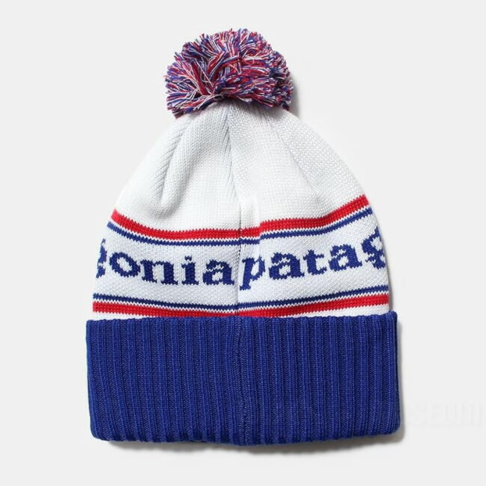 Amazon | [パタゴニア] ニット帽 ビーニー 帽子 POWDER TOWN BEANIE
