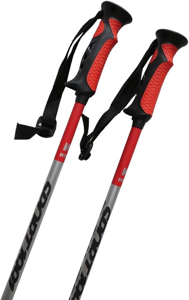 Amazon | WITT SPORT1991 ジュニア 伸縮ストック ！！ストック スキー