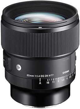 Amazon.com : Sigma 85mm F1.4 DG DN, for L-Mount : Electronics