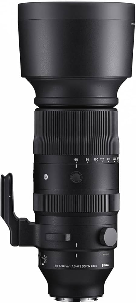 Amazon.com : Sigma 60-600mm F4.5-6.3 DG DN OS for L-Mount