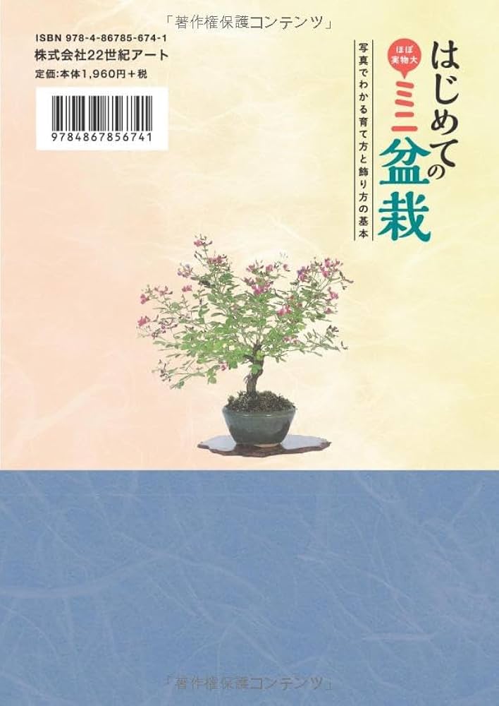 はじめてのミニ盆栽──写真でわかる育て方と飾り方の基本 | 三浦清