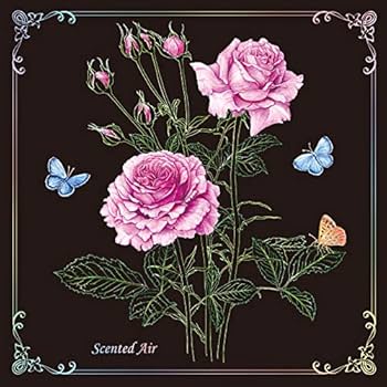 Amazon.co.jp: 大人のスクラッチアート~薔薇の花園~Night Bloom