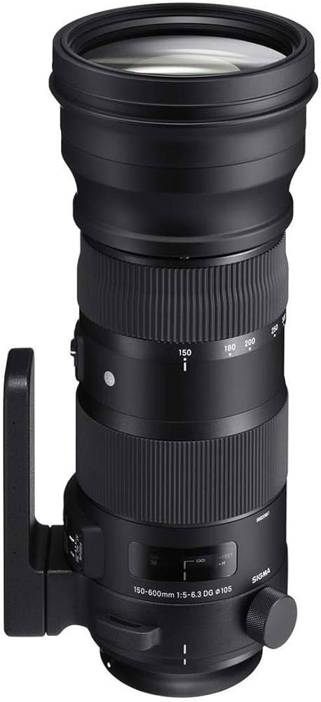 Amazon.com : Sigma 150-600mm F5-6.3 Sports DG OS HSM & TC-1401 for