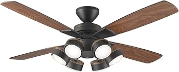 51dFwft+18L._AC_UF350,