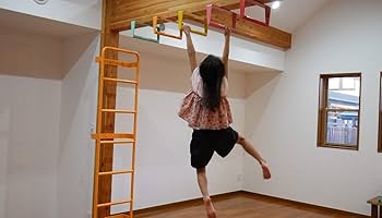 Amazon.co.jp: 雲梯 ウンテイ うんてい 梯子 はしご 自宅 屋内用 室内