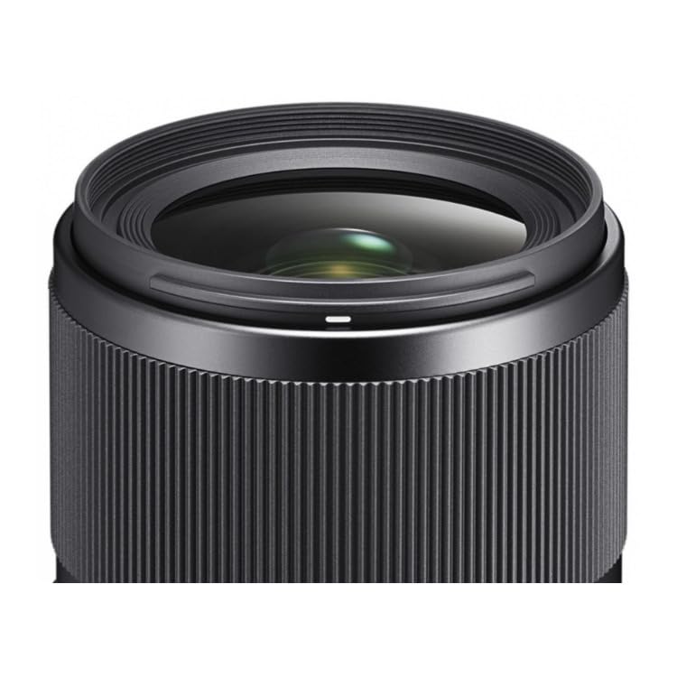 Amazon.com : Sigma 35mm F1.4 DG DN for L Mount : Electronics