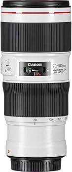 Amazon.com : Canon EF 70-200mm f/4L IS II USM Lens for Canon
