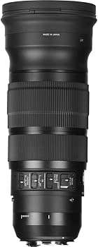 Amazon.com : Sigma 120-300mm F2.8 Sports DG APO OS HSM Lens for