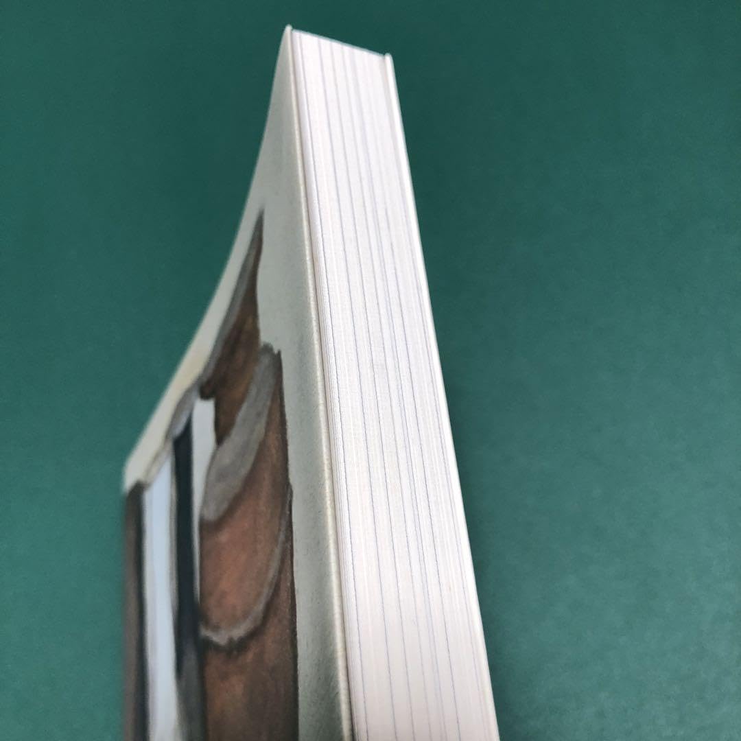 Amazon.co.jp: 絶版本ジョルジョ モランディ Giorgio Morandi 画集