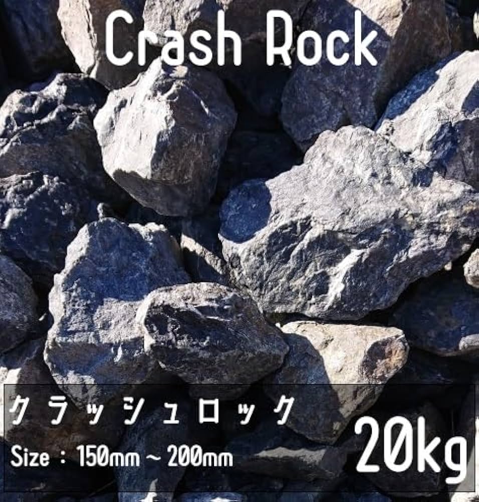 51e7i45YYIL._AC_UF1000,