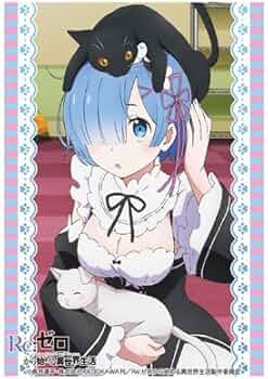 51e5SZLc1OL._AC_UF350,