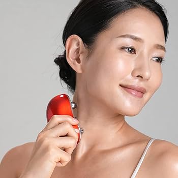 Amazon.co.jp: [クリアージュ] ストレッチリフト レッド ** : ホーム