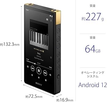 Amazon.co.jp: ソニー(SONY) ウォークマン 64GB ZXシリーズ NW-ZX707