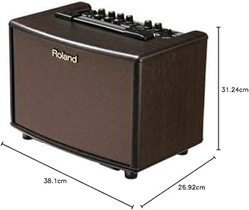 Amazon | Roland ローランド アコースティック ギター アンプ 15W+15W