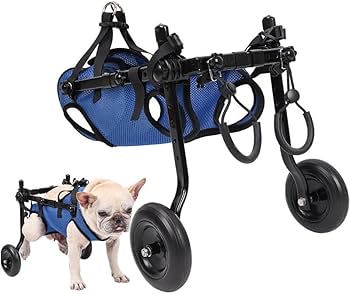 Amazon | EdisonBrain 犬の歩行器 犬用車椅子 ペット 散歩 サポート