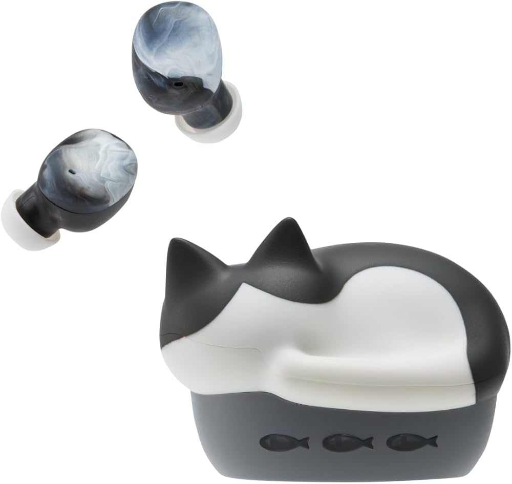 Amazon.co.jp: ラディウス radius HP-C28BT 完全ワイヤレスイヤホン