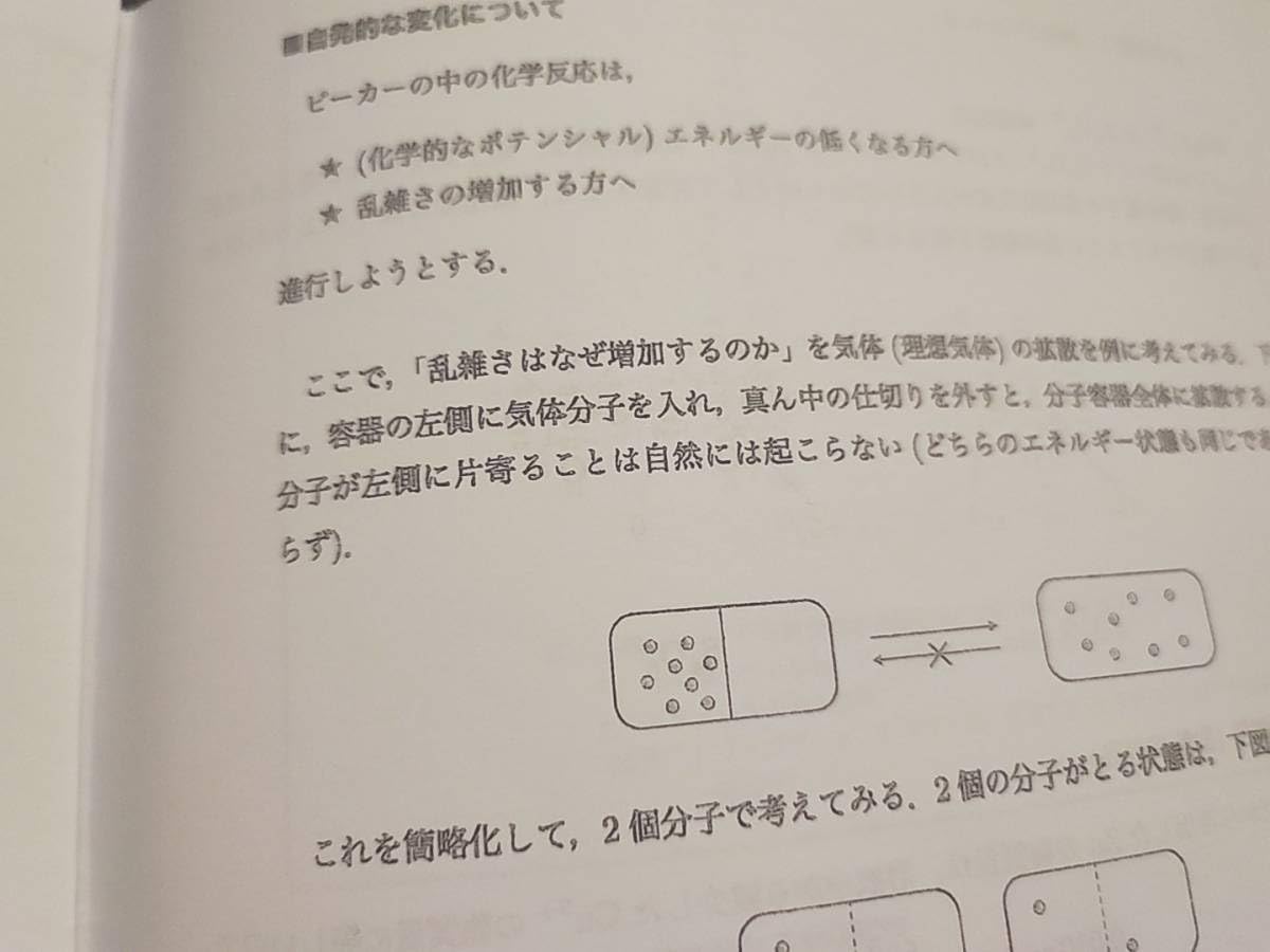 駿台 最新 景安先生 全分野の化学講義プリント 天然有機・高分子 鉄緑