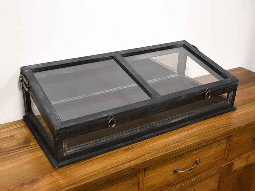 Amazon.co.jp: ヌアール ガラスコレクション ショーケース