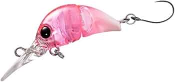 51g-qsFjfdL._AC_UF350,