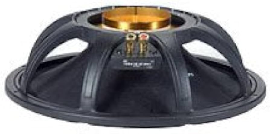 Amazon.com: Black Widow Peavey Speaker 1508-8 HE BWX RB : Musical